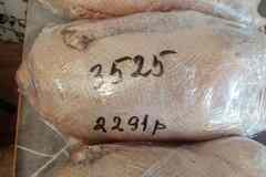 Домашнии гуси