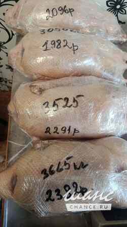 Домашнии гуси Новосибирск - изображение 1