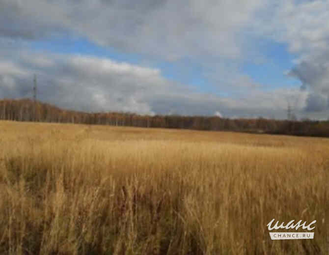 Земельный участок 9006 соток, Железнодорожник (Новохаритоновское с/п) садовое товарищество Москва - изображение 9