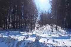 Земельный участок 89 соток, Промышленная улица