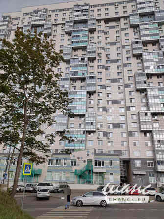 3-к квартира, 74.4 м², этаж 23/25 Мытищи - изображение 3