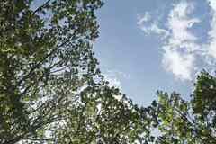 Сдам в аренду гараж 14 м