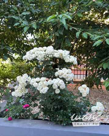 Коттедж 290 м², 196 Москва - изображение 5