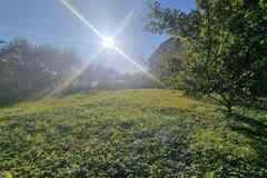 Земельный участок 6 соток, 441 квартал