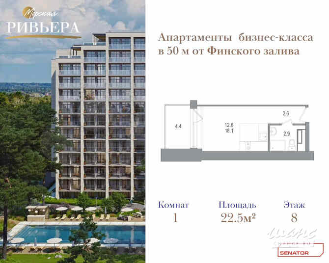 1-к квартира, 22.5 м², этаж 8/12 Зеленогорск - изображение 2