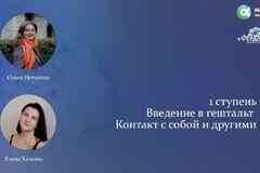 Введение в гештальт. Контакт с собой и другими