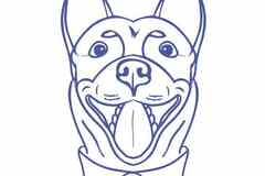 Требуется администратор ветеринарной клиники в сфере Медицина, фармацевтика