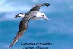 Требуется руководитель обособленного подразделения в сфере Нефть, газ, энергетика