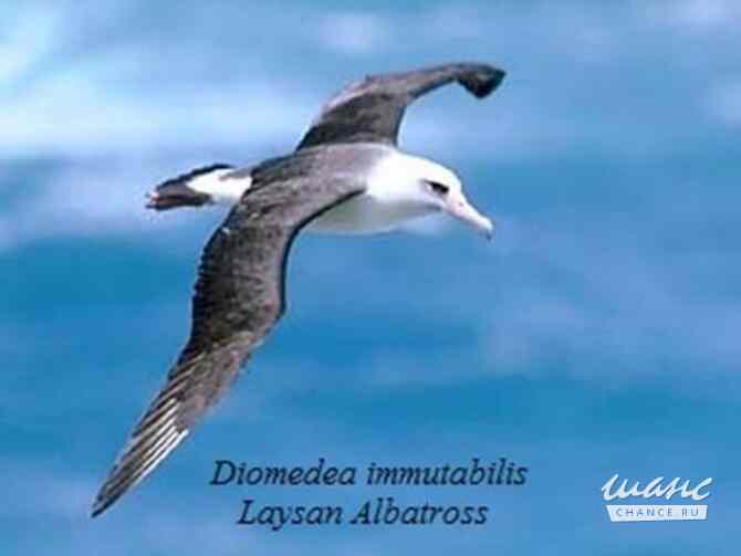 Требуется руководитель обособленного подразделения в сфере Нефть, газ, энергетика Нефтекамск - изображение 1