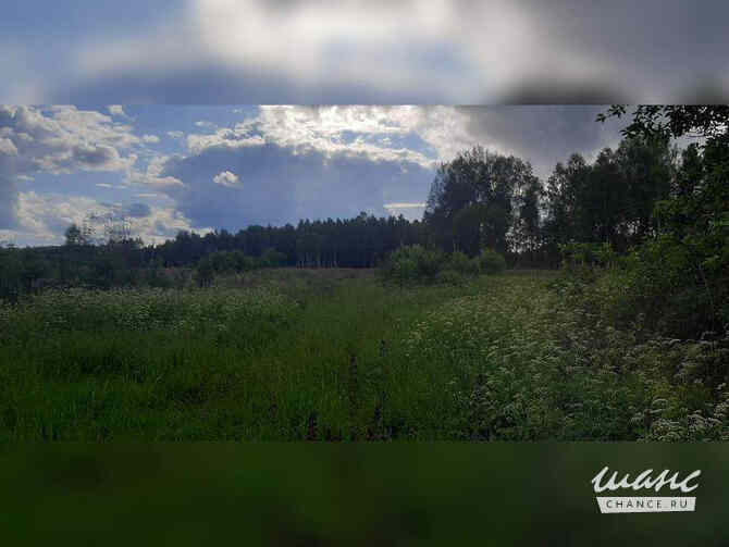 Земельный участок 2400 соток, ИЖС Рославль - изображение 6