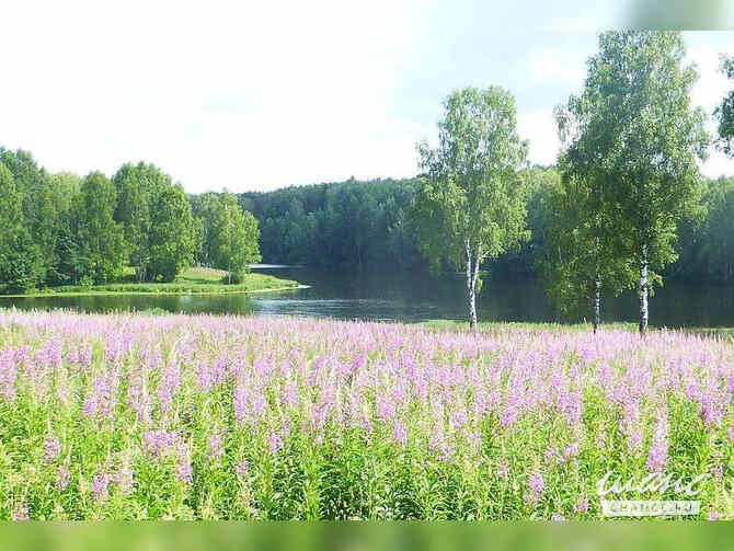 Земельный участок 2400 соток, ИЖС Рославль - изображение 5