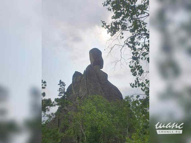 Земельный участок 40000 соток Москва - изображение 7