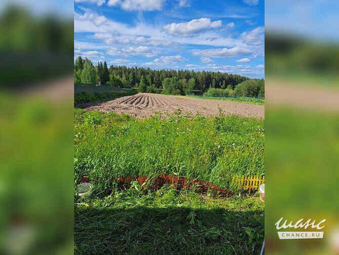 Коттедж 34.1 м², Солнечная улица, 15 Корткерос - изображение 3