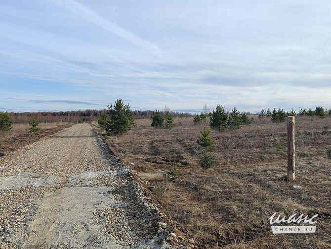 Земельный участок 717 соток, ИЖС, Лесная ул. Иваново - изображение 5