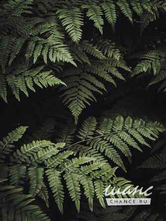 Требуется воспитатель в сфере Персонал для дома Москва - изображение 1