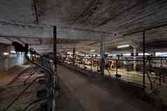 аренда - производственные и складские помещения