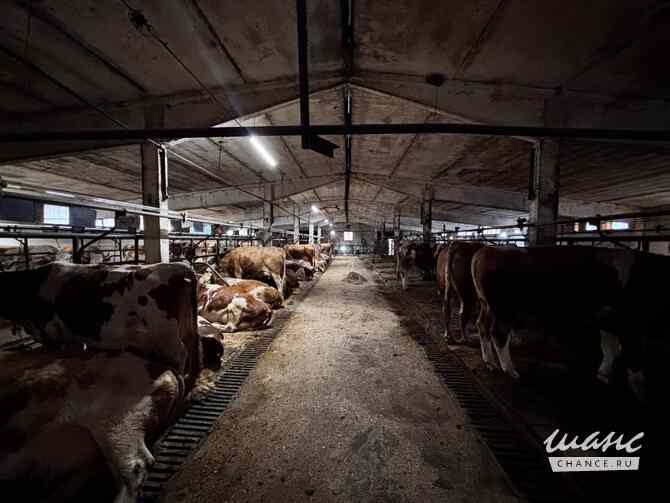 аренда - производственные и складские помещения Наро-Фоминск - изображение 2