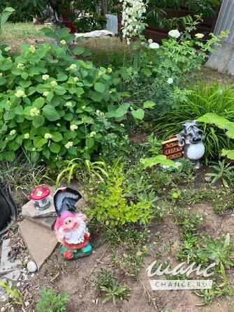 Дача 26 м², 101-я Винновская улица Волгоград - изображение 7