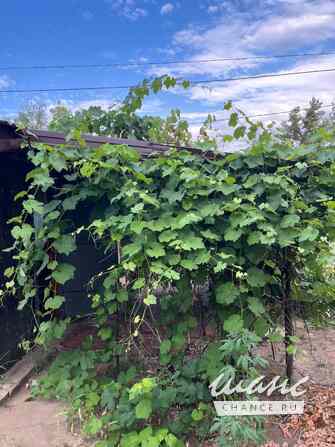 Дача 26 м², 101-я Винновская улица Волгоград - изображение 8