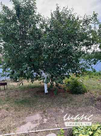 Дача 26 м², 101-я Винновская улица Волгоград - изображение 5