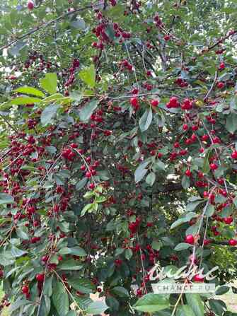 Дача 26 м², 101-я Винновская улица Волгоград - изображение 4