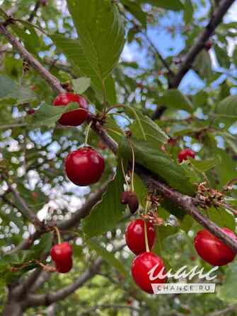 Дача 26 м², 101-я Винновская улица Волгоград - изображение 3