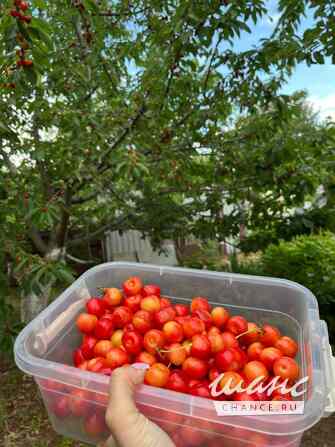 Дача 26 м², 101-я Винновская улица Волгоград - изображение 2