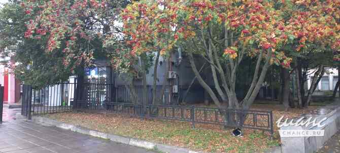 Земельный участок 31 соток, Варшавское шоссе Москва - изображение 7