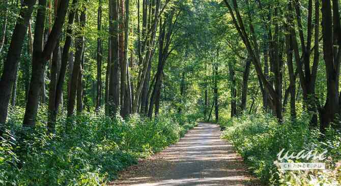 продажа - помещения различного назначения Зеленодольск - изображение 7