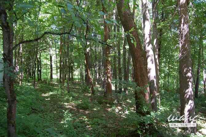 Земельный участок 1069 соток, ИЖС Москва - изображение 6