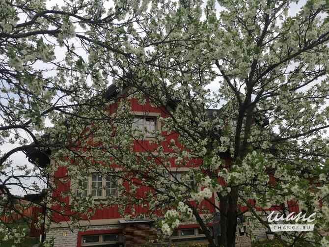 Коттедж 375 м², Озерная улица, 18а Красногорск - изображение 8