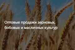 ООО Агропром - оптовая реализация продуктов питания экспорт