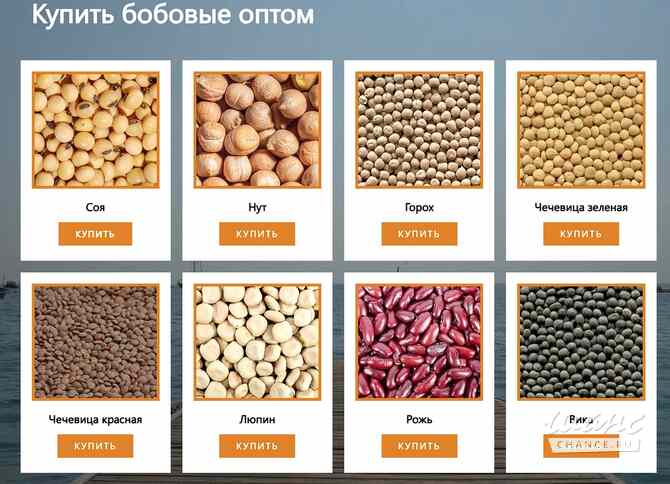 ООО Агропром - оптовая реализация продуктов питания экспорт Москва - изображение 2