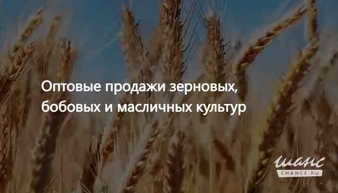 ООО Агропром - оптовая реализация продуктов питания экспорт Москва - изображение 1