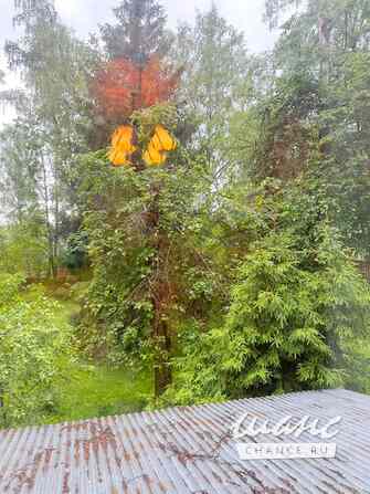 Дом 150 м², Ганны Шостак улица, 54/12 Пушкино - изображение 8