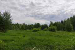 Земельный участок 36 соток, Беговая улица