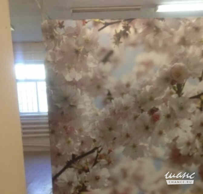 продажа - помещения различного назначения Кавалерово - изображение 7