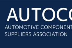 Требуется руководитель проекта в сфере Консалтинг, стратегическое развитие