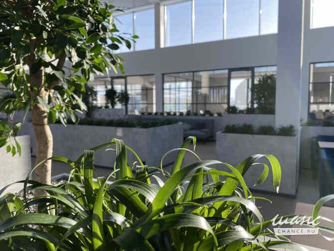 аренда - офисные помещения Ярославль - изображение 9