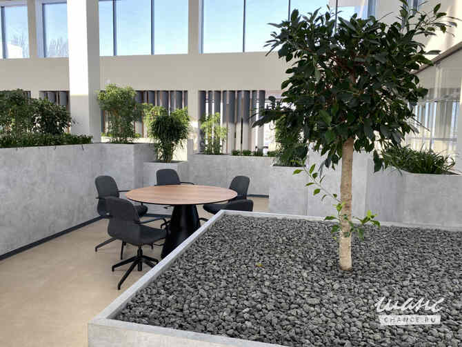 аренда - офисные помещения Ярославль - изображение 10