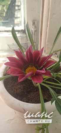 Уборка домов и квартир Москва - изображение 1