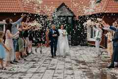 Банкет на свадьбу, кейтеринг и фуршет для свадеб в Москве и Подмосковье