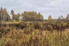 Продам земельный участок 100 соток, ЛПХ, Тула, Курорт Краинка