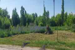 Земельный участок 6 соток, Советская улица