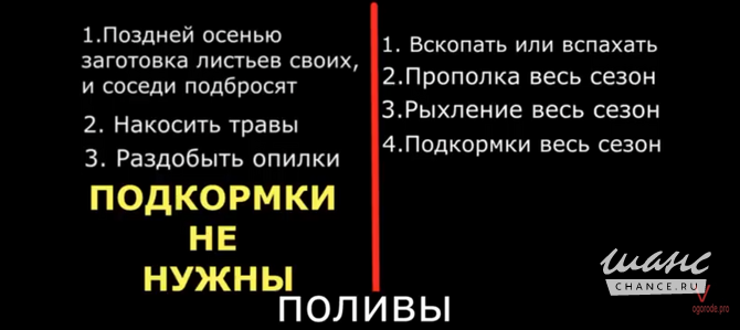 Выращу овощи, присмотрю за дачей Тверь - изображение 2