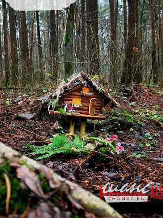 Мастер-класс "Избушка с мухоморами" Санкт-Петербург - изображение 1