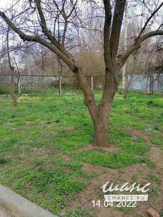 4-к квартира, 190.15 м², этаж 1/2 Элиста - изображение 8