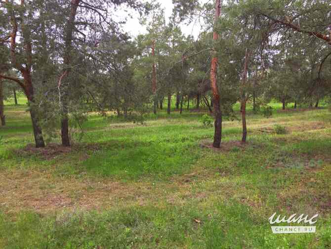 Дом 608.1 м², Сосновая улица, 5 Москва - изображение 9