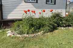 Продам дом зимний 108 м², Ленинградская область,Кировский р-н,ЗАО Мгинское