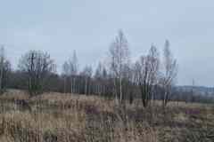 Земельный участок 1440 соток